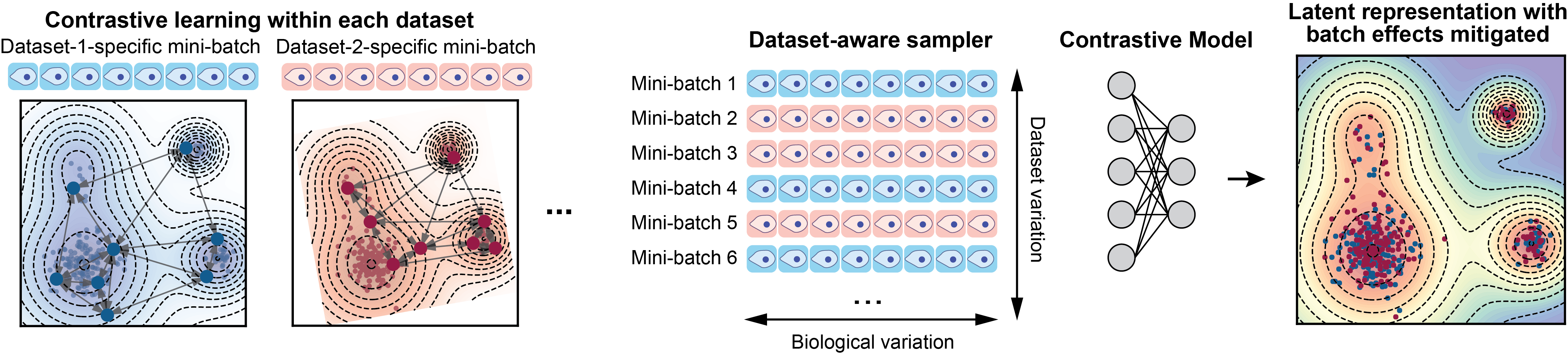 Multi dataset CONCORD