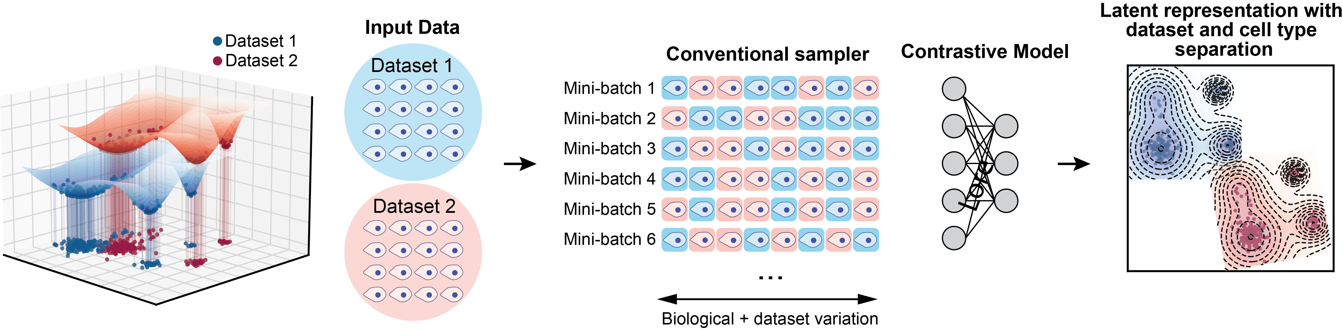 Multi dataset contrastive learning