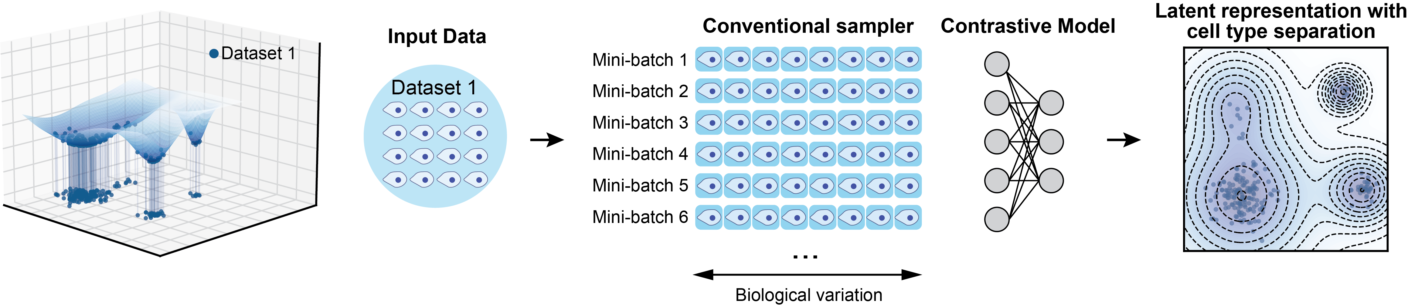 Single dataset contrastive learning