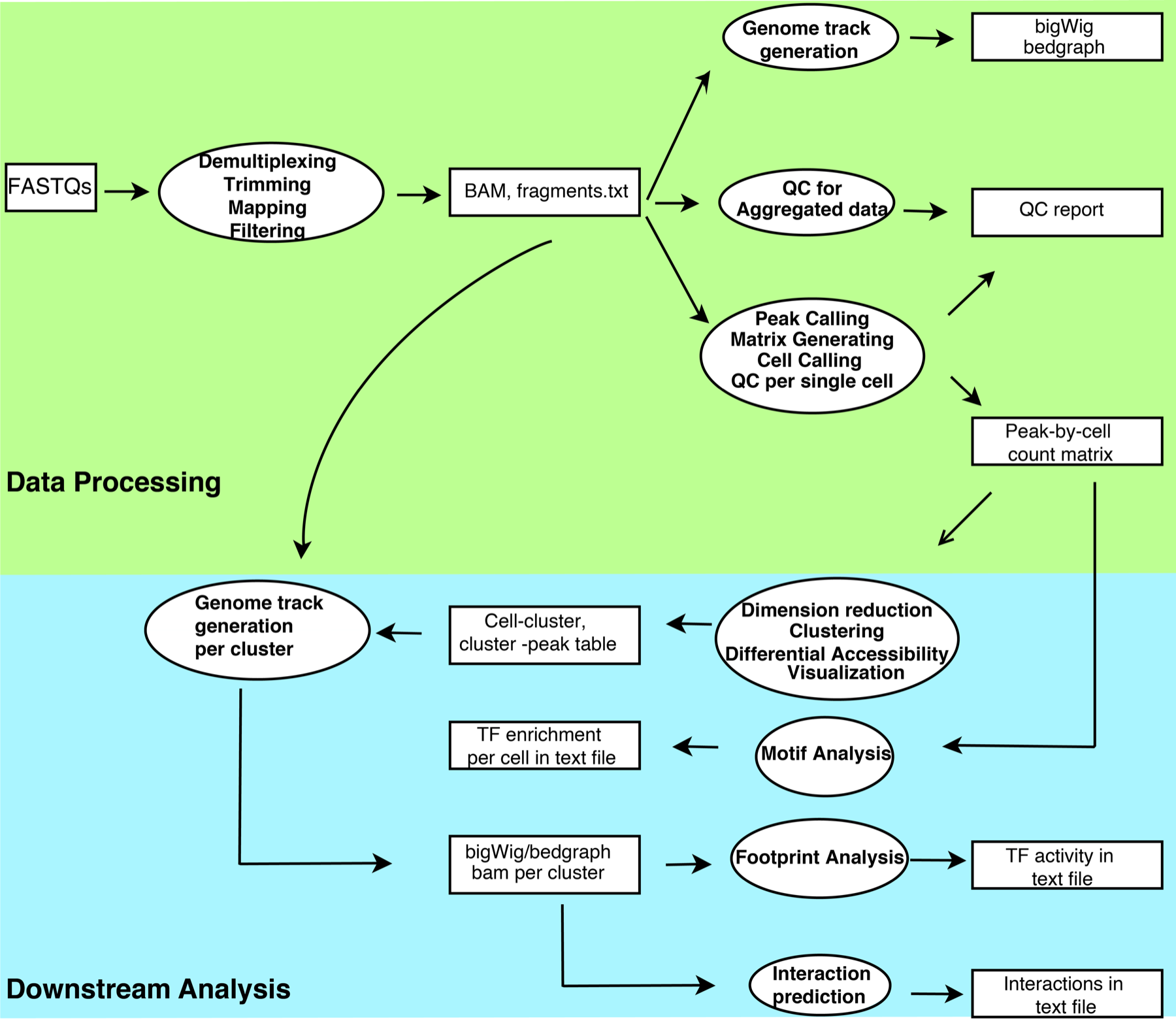 scATAC-pro workflow from sequencing reads through data processing and downstream analysis